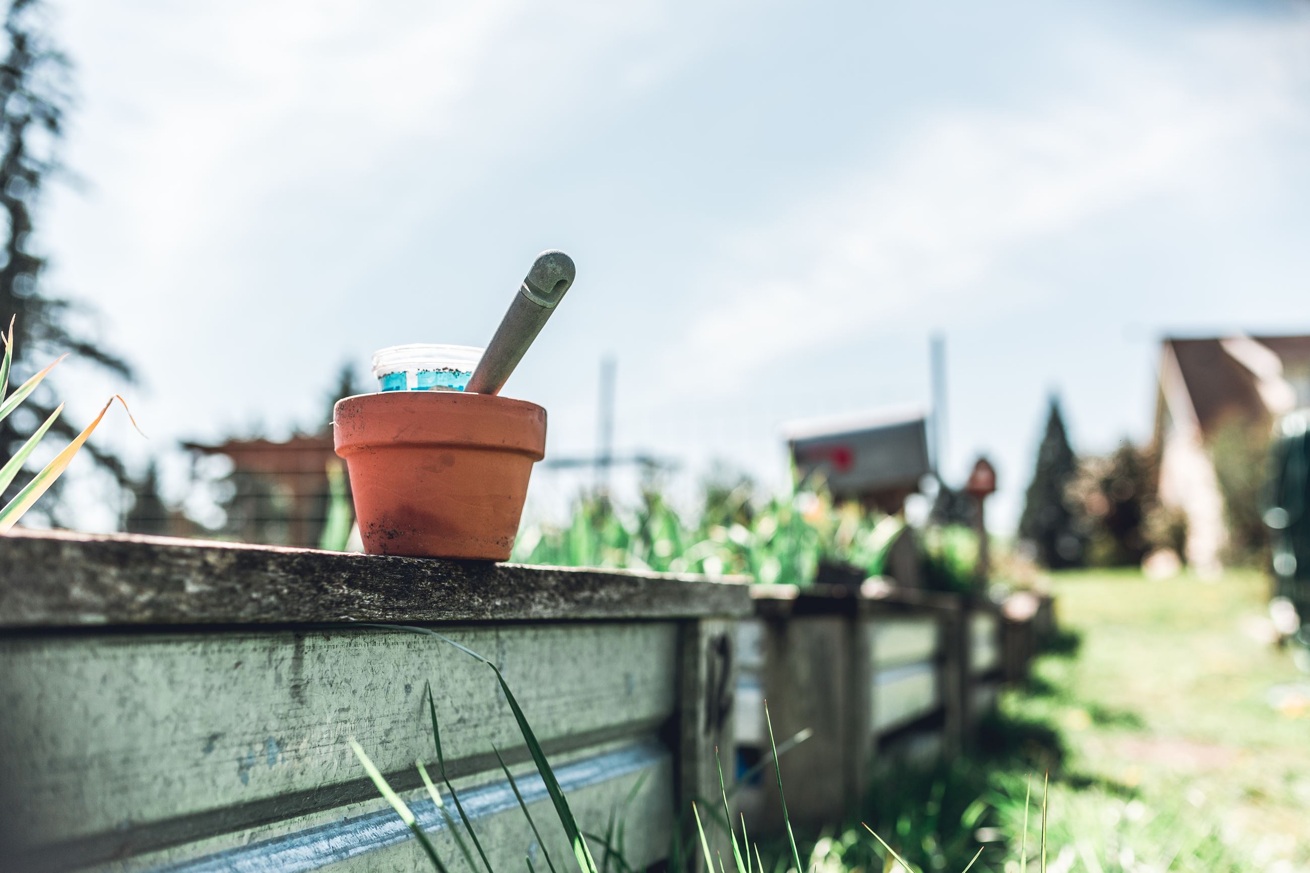 ix8a8539_51132196426_o