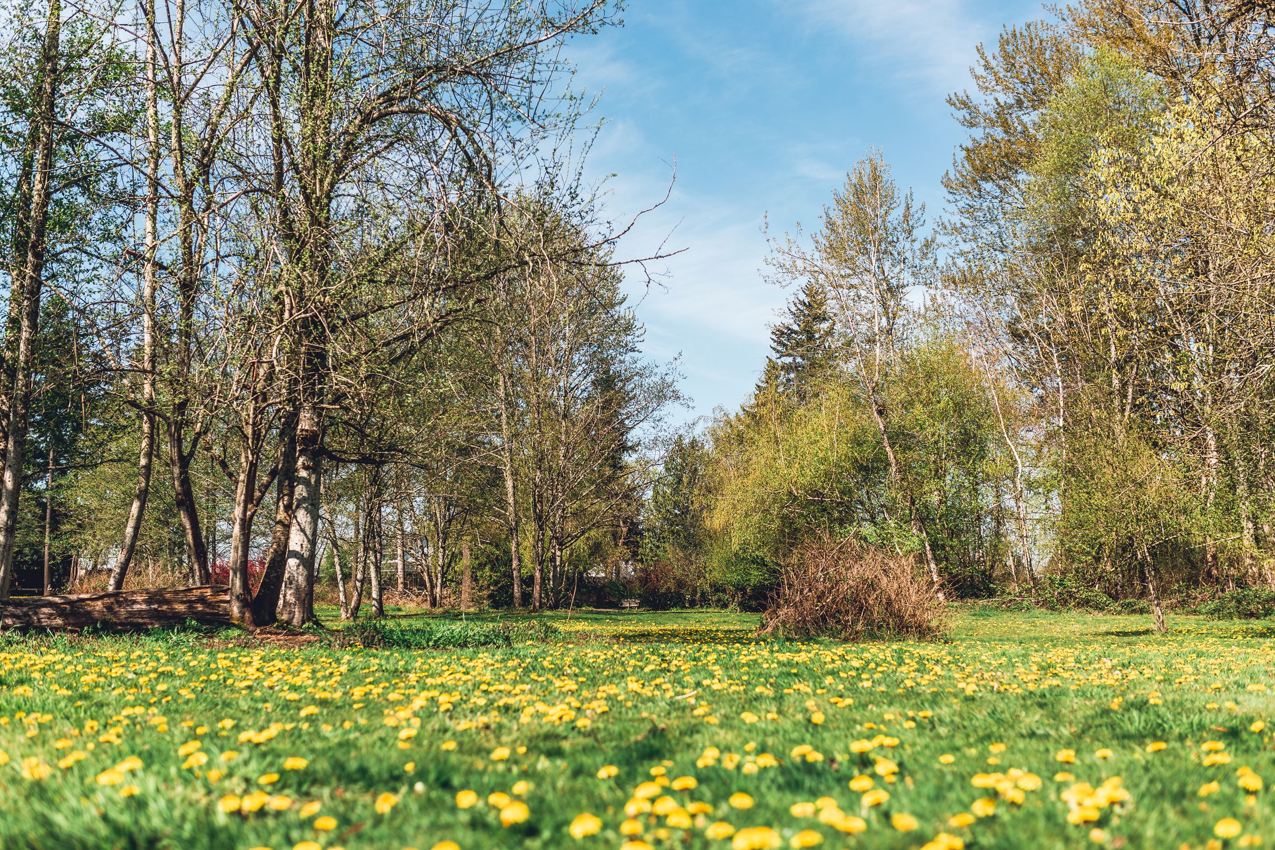 ix8a8465_51132198741_o