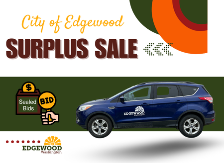 Feb 2025 Surplus (450 x 328 px)